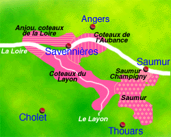 vineyards